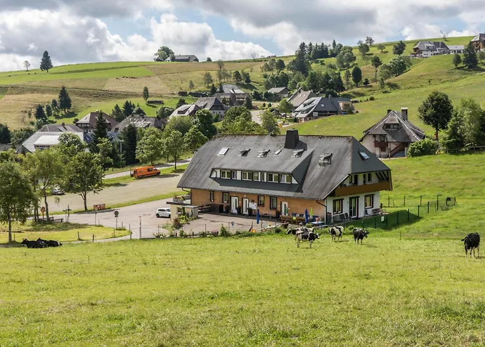 Sport Rees - Melanie * אובריאד